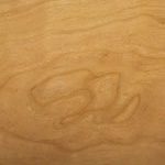 A close up of the wood grain on a table.